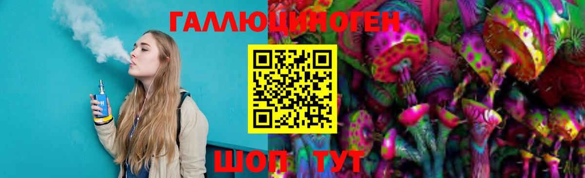 закладки  Вход с VPN  Сухой Лог  Псилоцибиновые грибы Magic Shrooms 